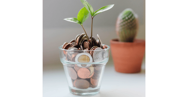 Picture for: Money Management, Budgeting, Saving and Investing.