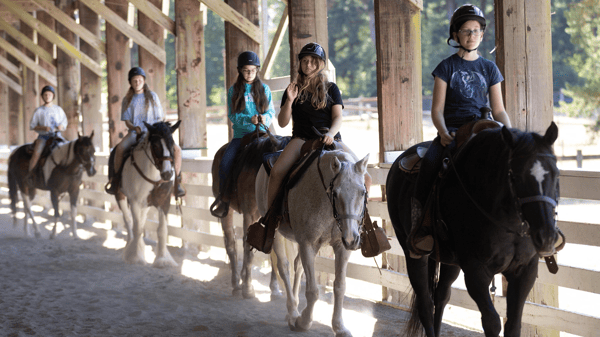 Image for Horse Day Camp