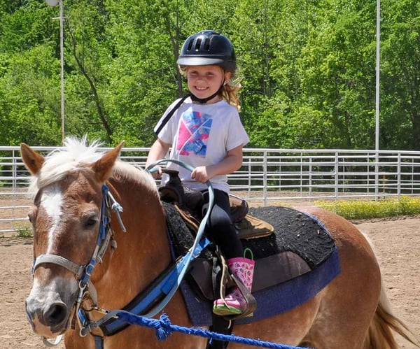 Image for My Little Horse Camp