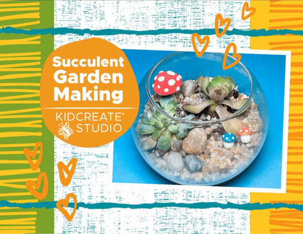 Picture for: Succulent Garden Making with Kidcreate Studio