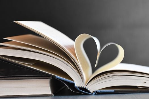 Image for SFMS Book Club