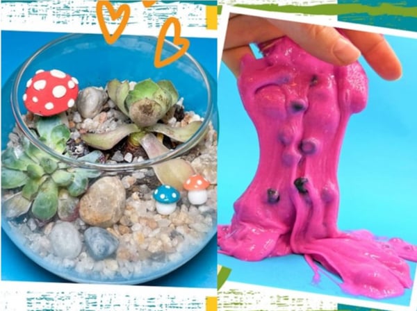 Picture for: Succulent Garden Making & Watermelon Slime Bundle Class