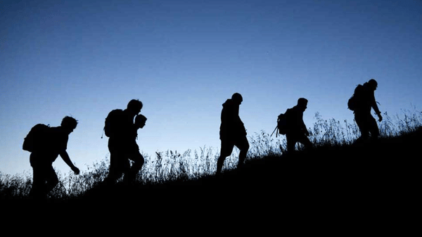 Picture for: Hike at Night: Families