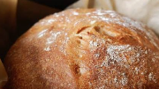 Image for Basics of Sourdough