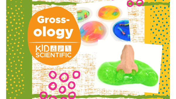 Image for Grossology