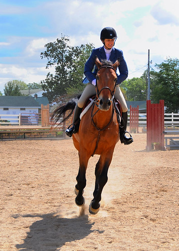 Picture for: Beginner Horse Riding Camp