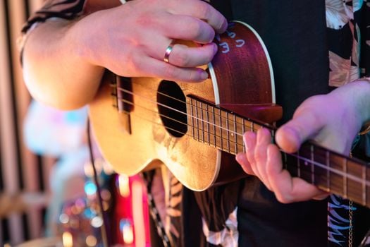 Picture for Instant Ukulele for Hopelessly Busy People