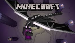 Picture for: Minecraft Survival Camp: Defeat the Ender Dragon