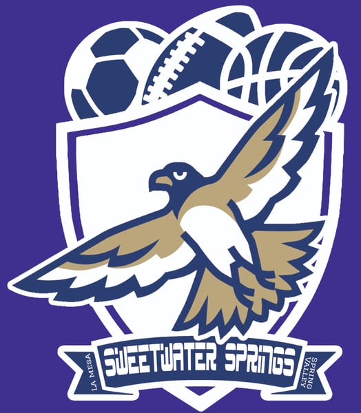 Picture for: Sweetwater Springs Elementary ESSPN Kickball