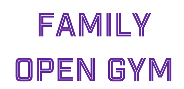 Picture for: Family Open Gym