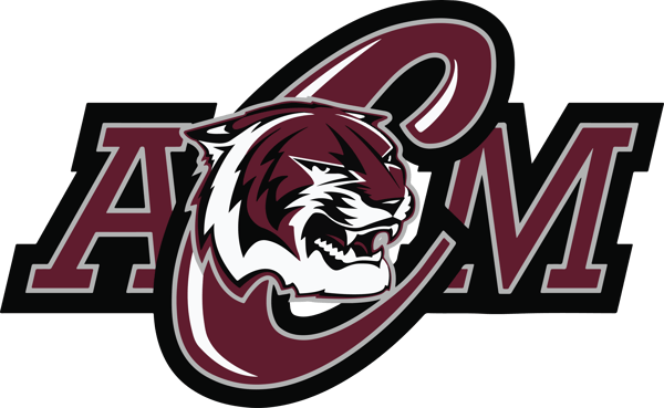 Picture for: AMCHS Summer Sports Camps