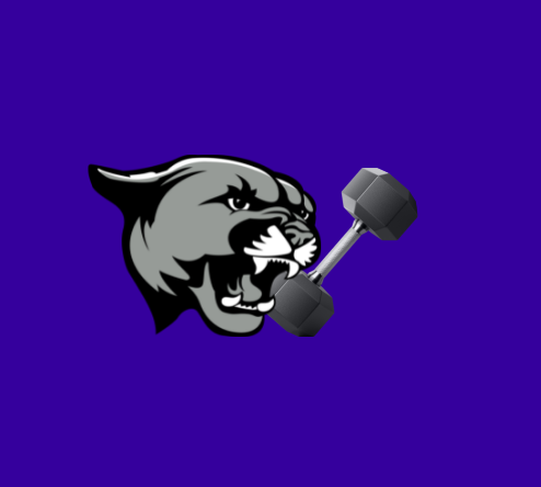 Course Cougar Elite Athletic Development image 1