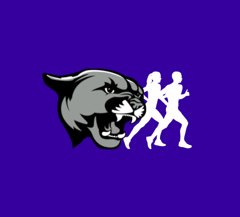Course Cougar Track image 1