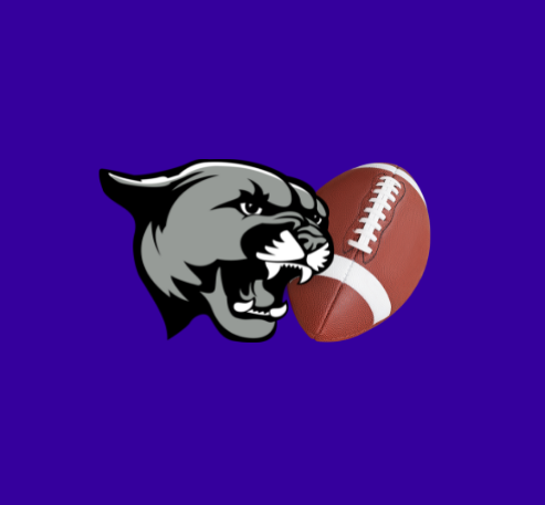 Course Cougar Football image 1