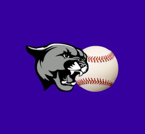 Course Cougar Baseball image 1