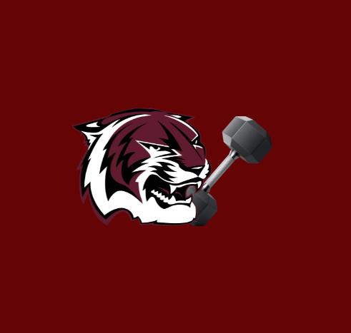 Course Tiger Champions Camp image 1