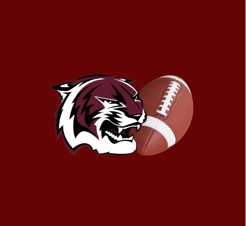 Course Tiger Football image 1