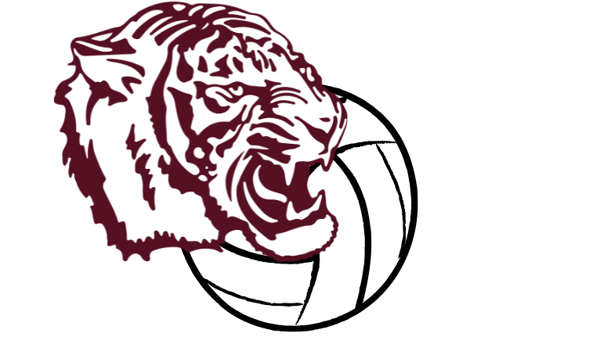 Course Tiger Volleyball image 1