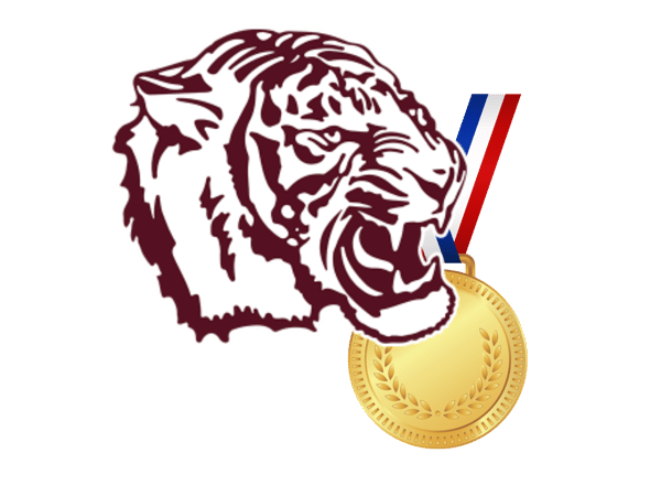 Course Tiger Champions Camp image 1