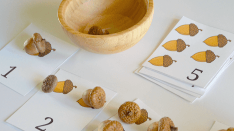 Picture for: Acorn Math