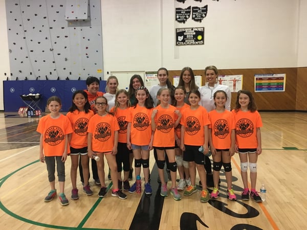 Picture for Volleyball