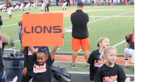 Picture for: Lions Winter Youth Cheer Team
