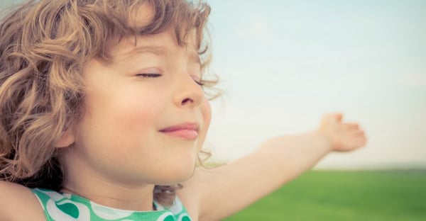 Picture for One Day Fun