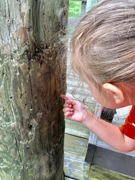 Picture for: Early Childhood Recreation & Discovery