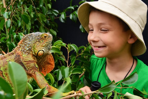 Picture for Youth Discovery