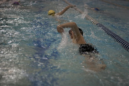 Image for Orange Community Swim Team