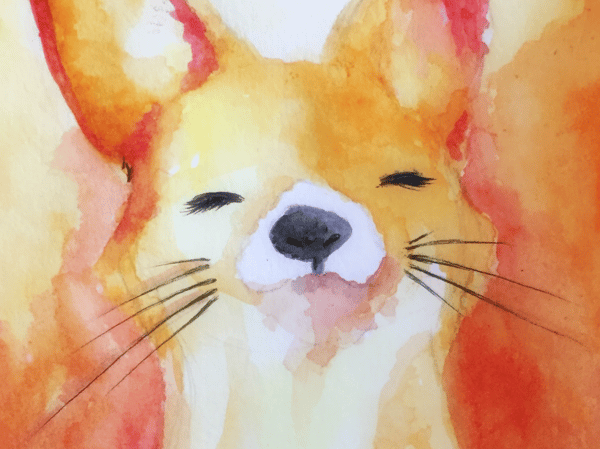 Course Pet Portrait image 1