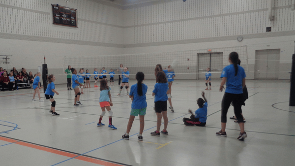 Image for Spring Volleyball Skills Clinic