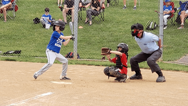 Course Little Lions Baseball / Softball Clinic image 1