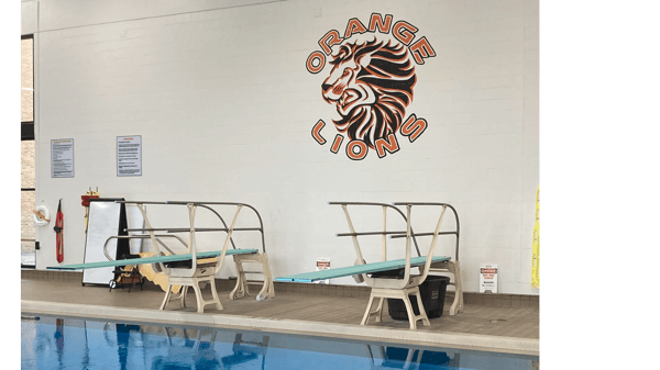 Picture for: Springboard Diving