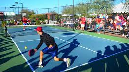 Picture for: Pickleball Clinics