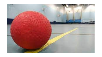 Picture for: Family Dodgeball