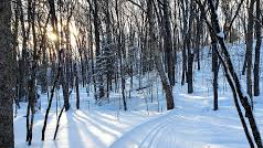 Image for Winter Hike