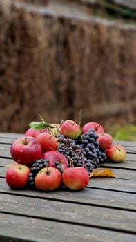 Picture for Organic Harvest Helpers