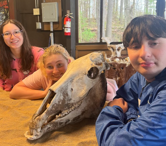 Picture for: Orange Connections: Day Camp