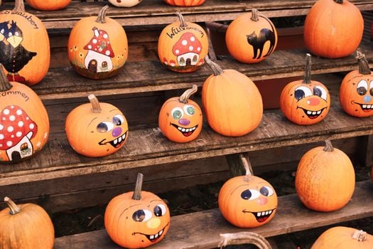 Picture for: Pumpkin Painting