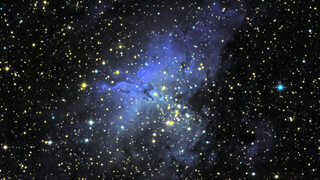 Picture for: Trail to the Stars