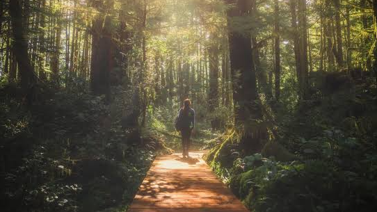 Picture for: Nature and Wellness Walks