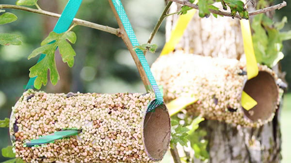 Picture for: Eco Explorers: Bird Feeder Crafting
