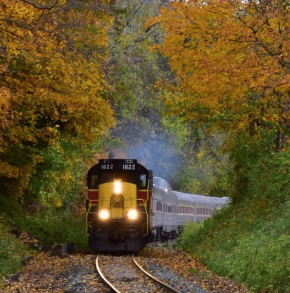 Image for Fall Colors by Rail