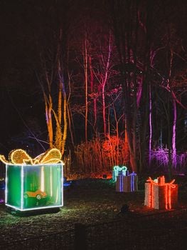 Picture for: Community Outing: Zoo Lights