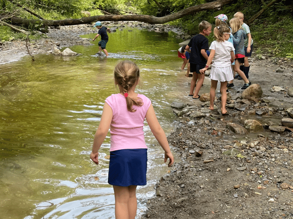 Picture for: Eco Explorers: Nature Exploration Camp