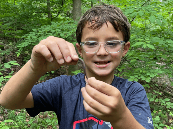 Image for Worm Powered Decomposition