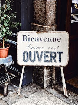 Picture for: New! Beginners French Level II