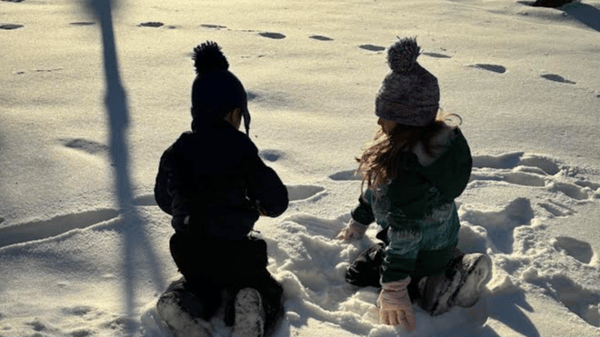 Picture for: Winter Wildlife Detectives