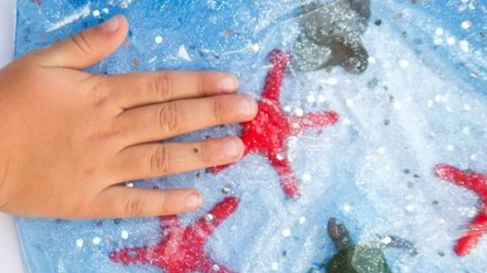 Picture for: Sensory Seashore